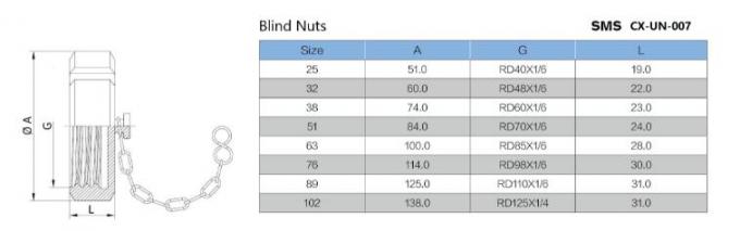 FDA Ss316l Grade Ferrule Adaptor Hygienic Union Blind Nut With Chain 4
